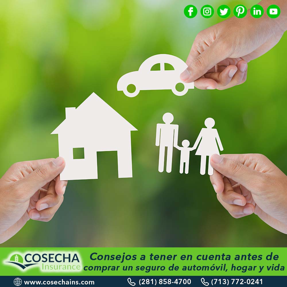 07 Cosecha Insurance