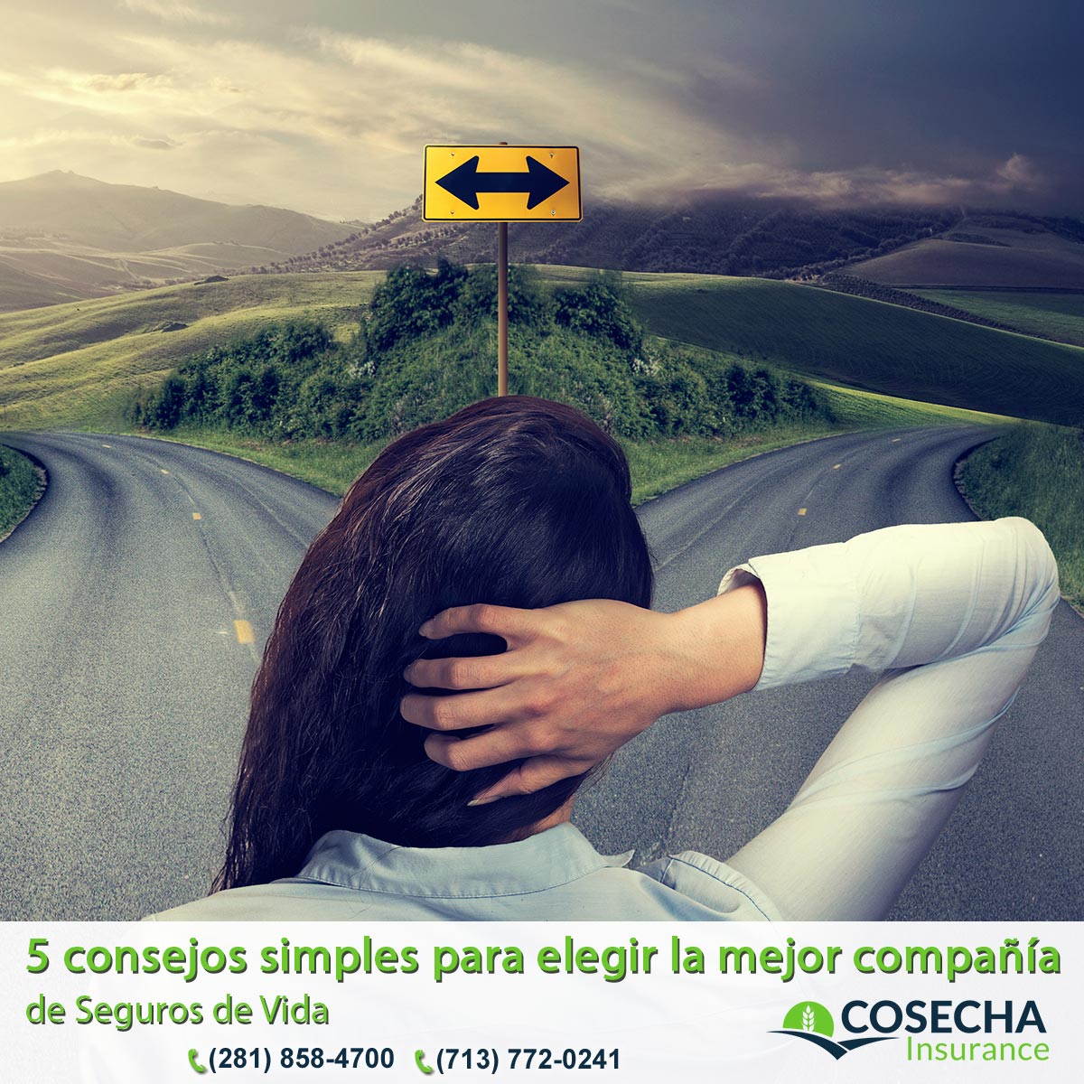 18 5 consejos simples para elegir la mejor compaa de seguros de vida