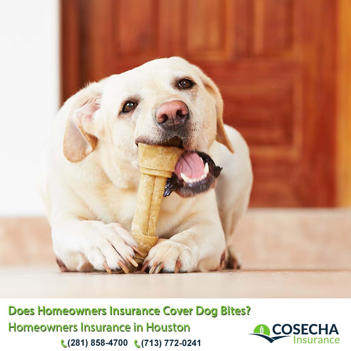 13 Homeowners Insurance in Houston