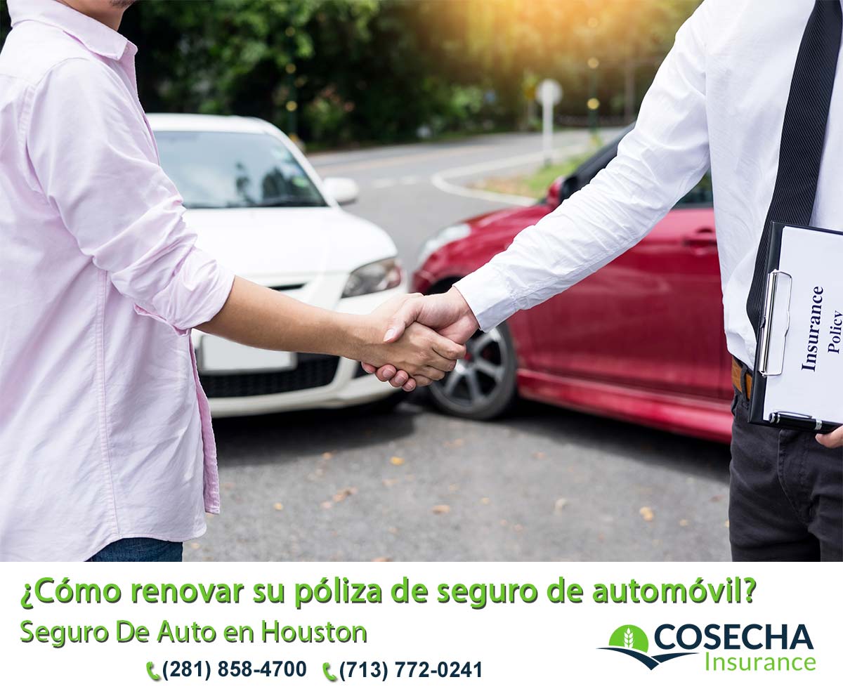 16 Seguro De Auto en Houston