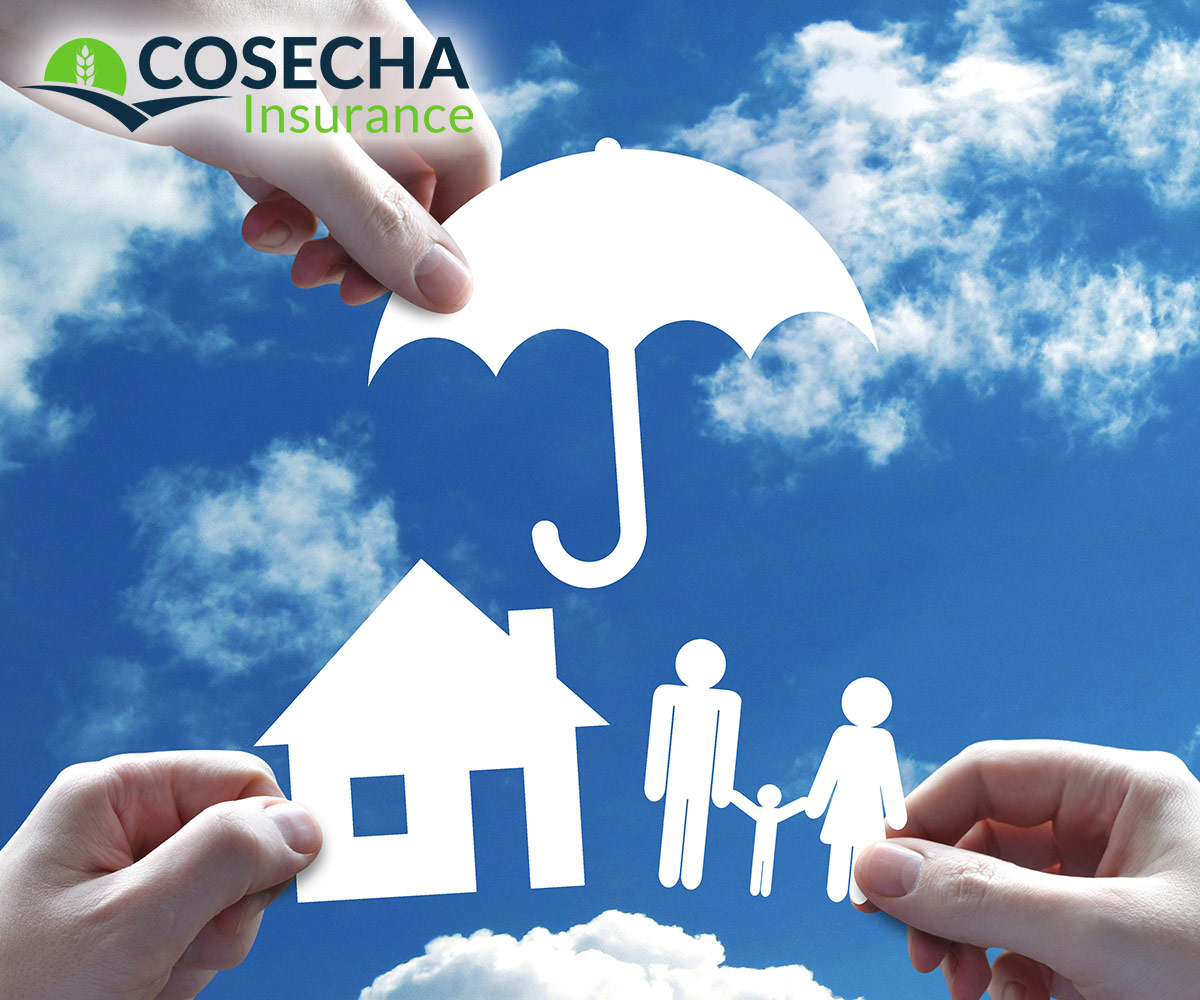 02 Cosecha Insurance